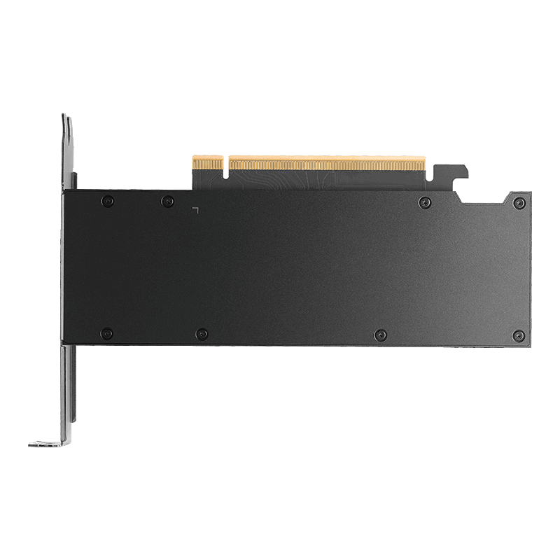 rtx-pro-2000-back.webp